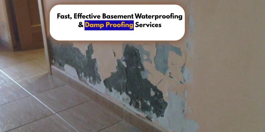 Fast, Effective Basement Waterproofing & Damp Proofing Services