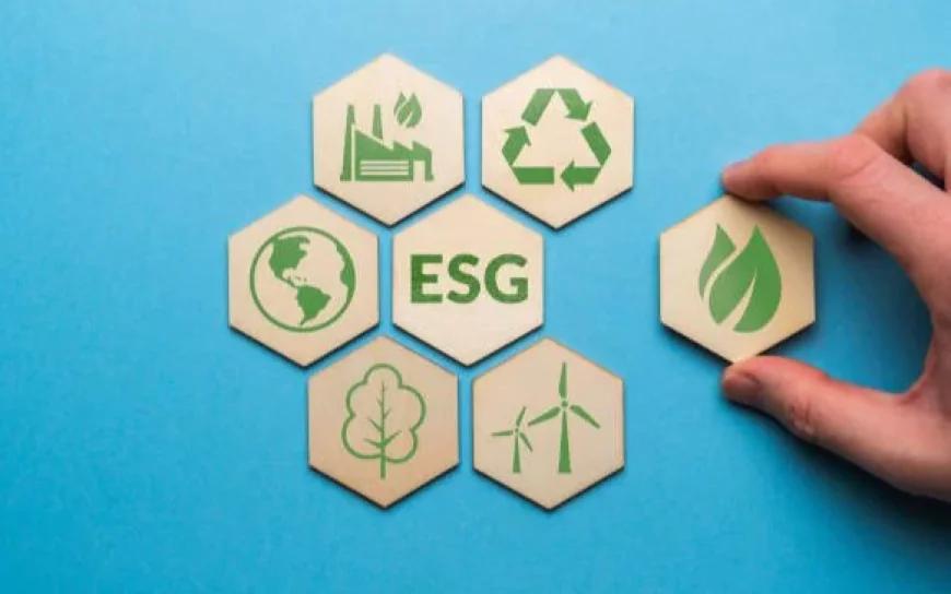 Improve Transparency with Reliable NZ ESG Reporting Frameworks