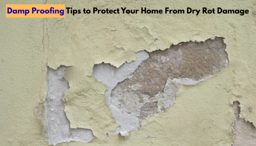 Damp Proofing Tips to Protect Your Home From Dry Rot Damage