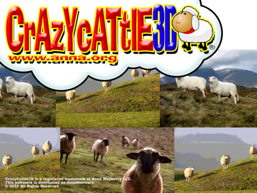 Finding Calm in the Chaos: My Unexpected Obsession With a Sheep Game