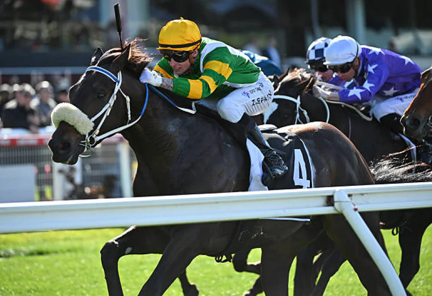 Adelaide v Port Adelaide Rd 20: A Complete Breakdown of the Rivalry and What to Expect