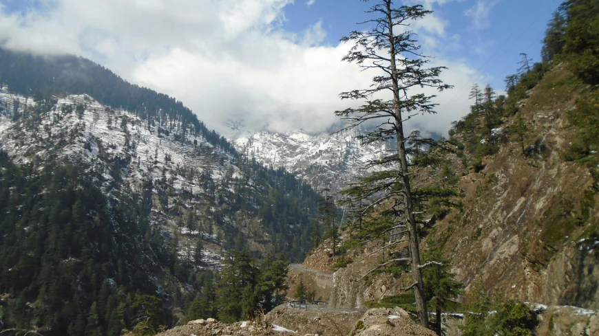 Escape to the Hills: Explore the Best Shimla Tour Packages from Bangalore