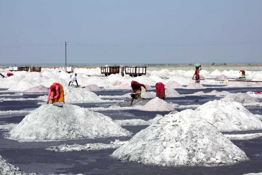 Top Detergent Grade Salt Manufacturer in Gujarat: Powering India’s Cleaning Industry with Purity