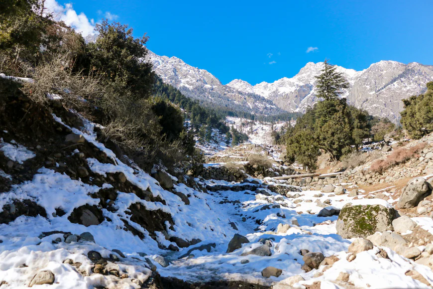 Plan the Perfect Family Vacation with Exclusive Shimla Tour Packages