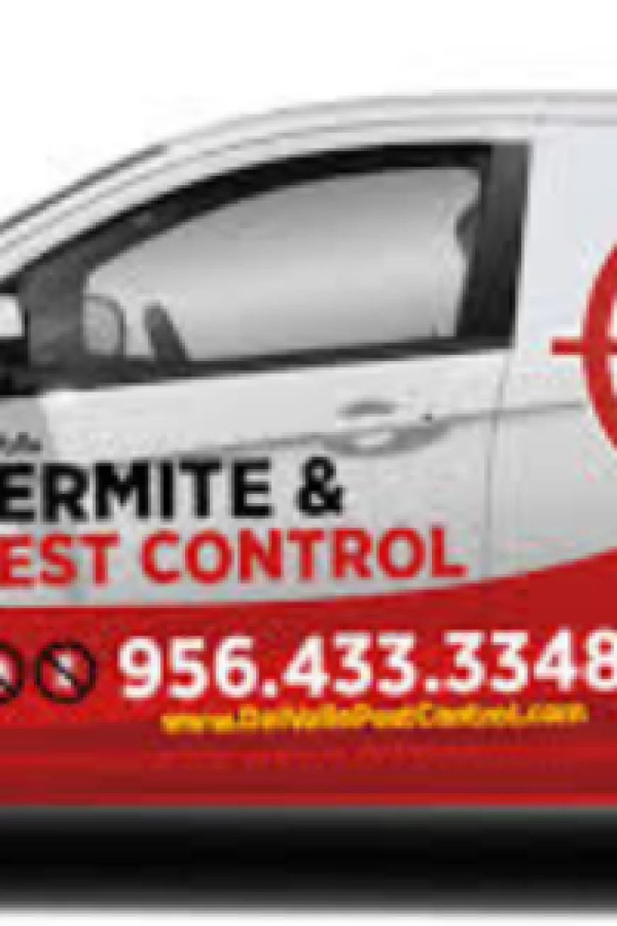 Pest Control Pharr, TX: Protecting Homes and Businesses from Unwanted Pests