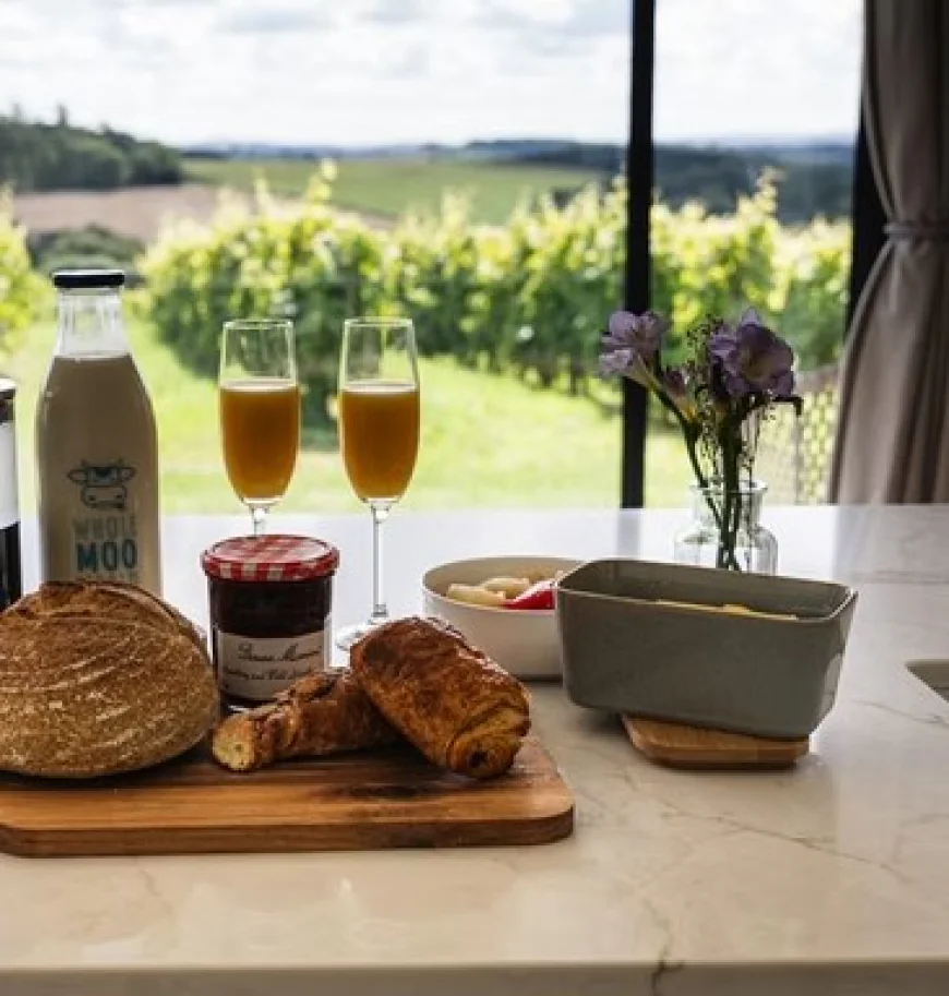 Embrace Tranquillity and Comfort at Stars and Vines – The Finest Luxury Countryside Lodges for Couples and Solo Travellers