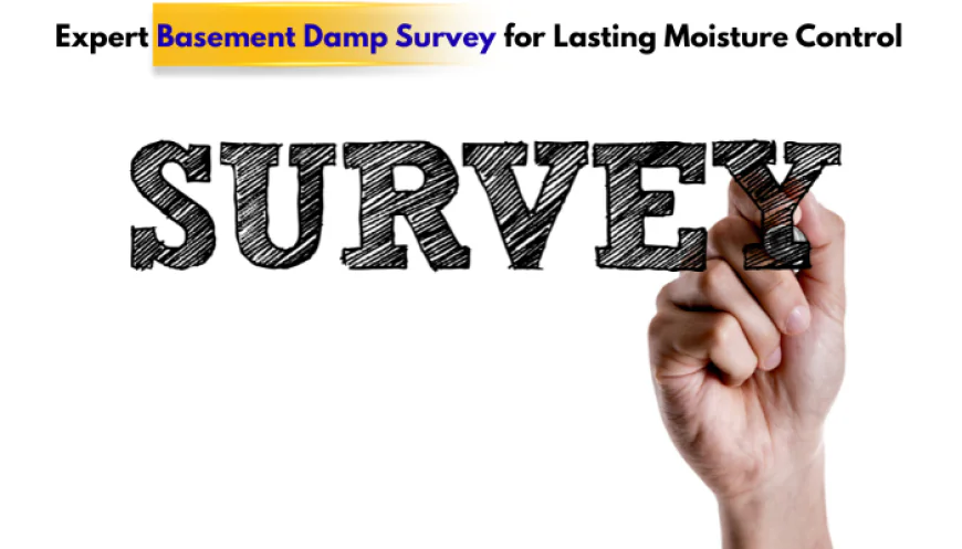 Expert Basement Damp Survey for Lasting Moisture Control