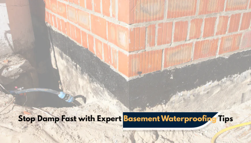 Stop Damp Fast with Expert Basement Waterproofing Tips