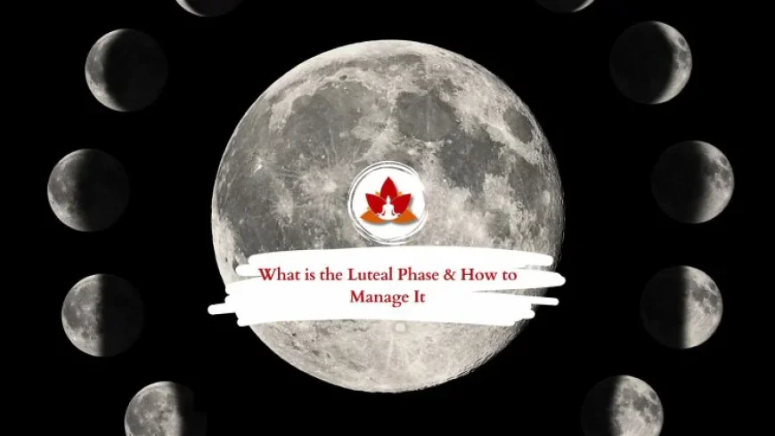 Understanding the Luteal Phase: A Key to Hormonal Balance