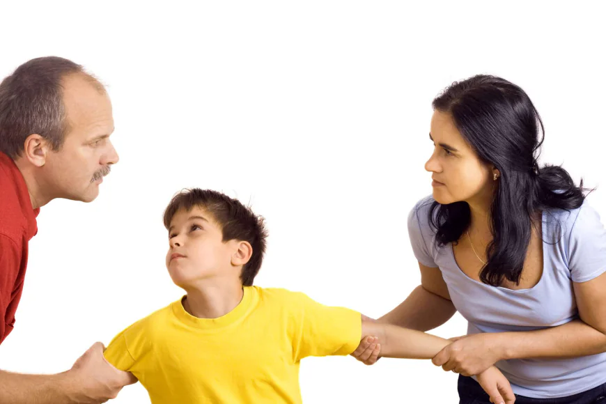 Best Family Lawyer in Toronto for Child Support Issues