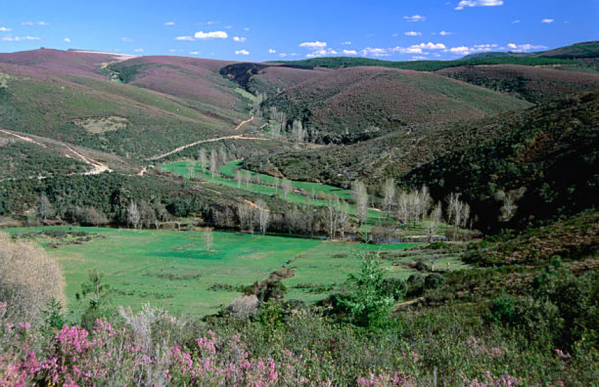 الحدائق الوطنية في البرتغال بعيدًا عن المسار السياحي