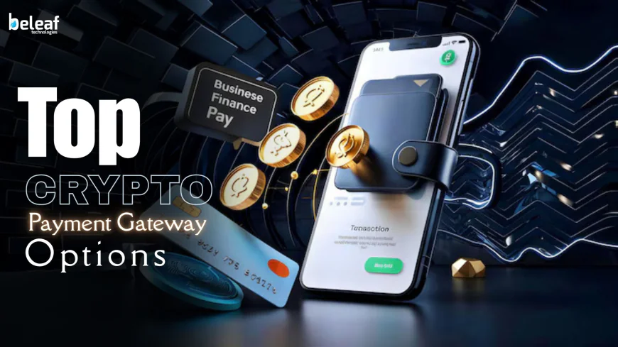 What Are the Top Crypto Payment Gateway Options for Converting Crypto to Fiat?