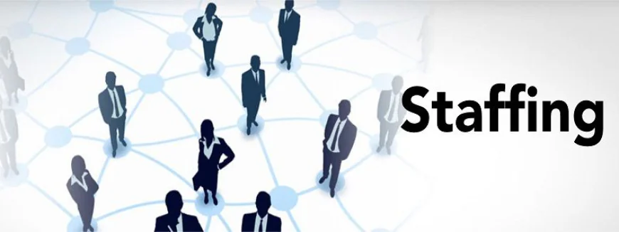 Top Benefits of Using a Local Staffing Agency in Vancouver