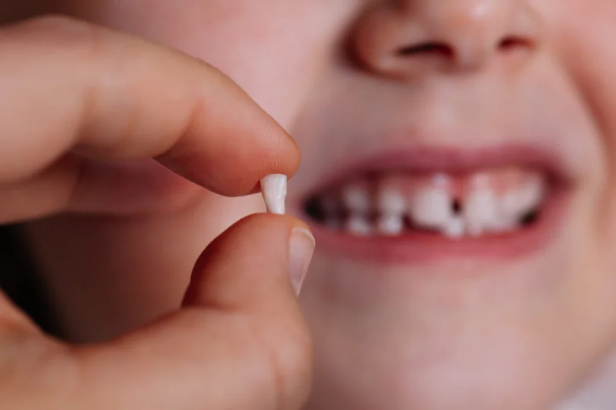 How Do Dentists Remove Broken or Decayed Teeth?
