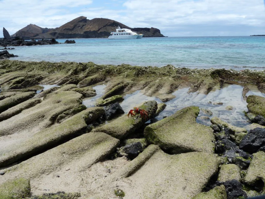 How Galapagos Private Yacht Trips Are Changing the Future of Eco-Tourism