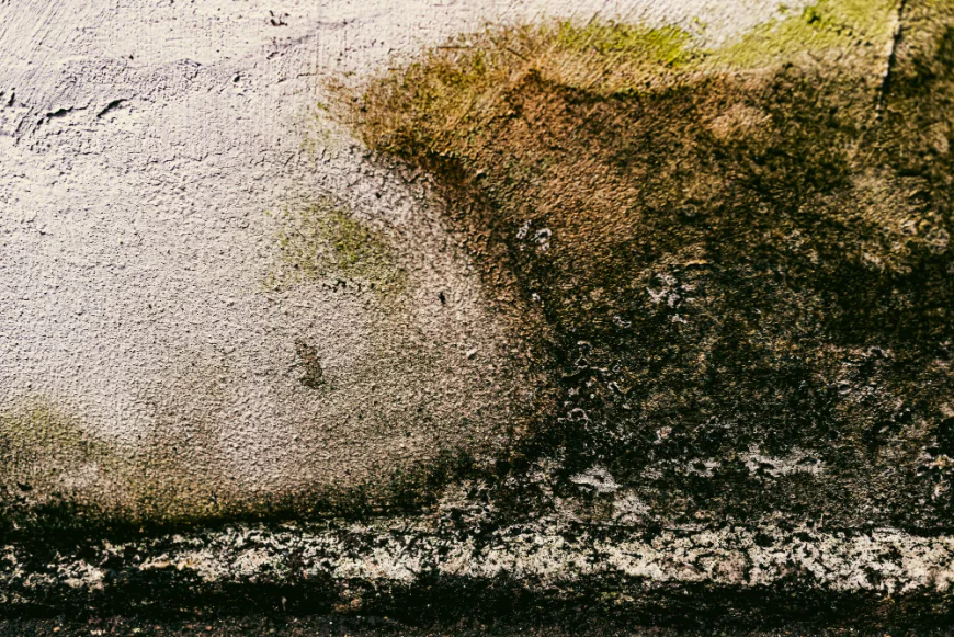 How Can Basement Humidity and Cold Work Together to Cause Problems?
