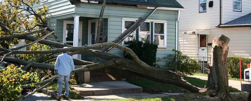 Get Reliable Wind Damage Claim Services in San Antonio with Accurate Recovery