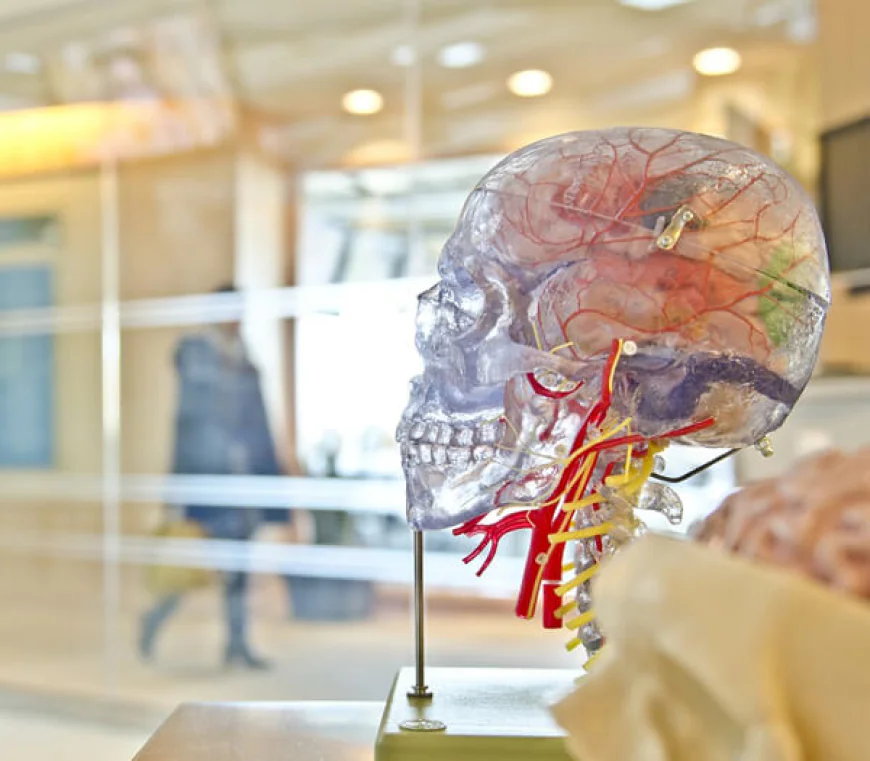 How A Minor Trauma And Accidents Treatment Clinic Helps You Heal Faster