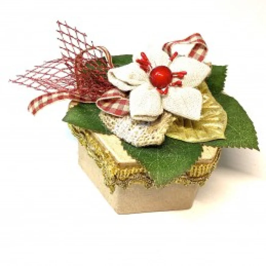 Orchidée Pour Bonbons – Une Douce Floraison Pour Chaque Célébration