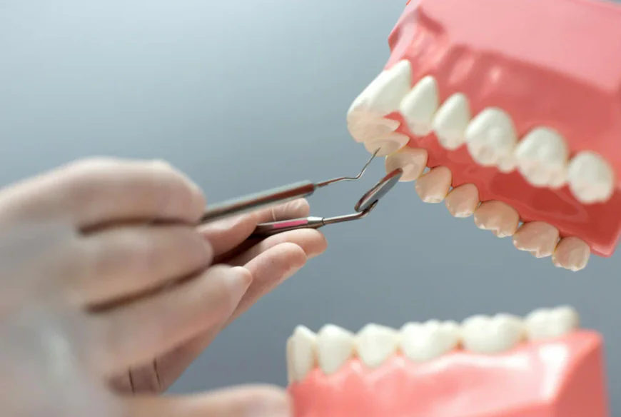 The Importance of Dental Care for Kids