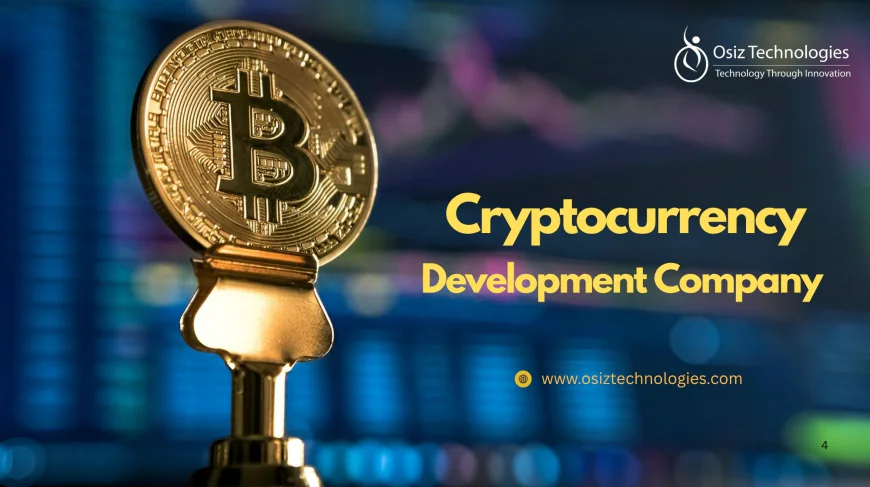 What makes Hamburg a rising centre for cryptocurrency development in Europe?