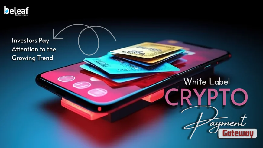 Why Should Investors Pay Attention to the Growing Trend of White-Label Crypto Gateways?