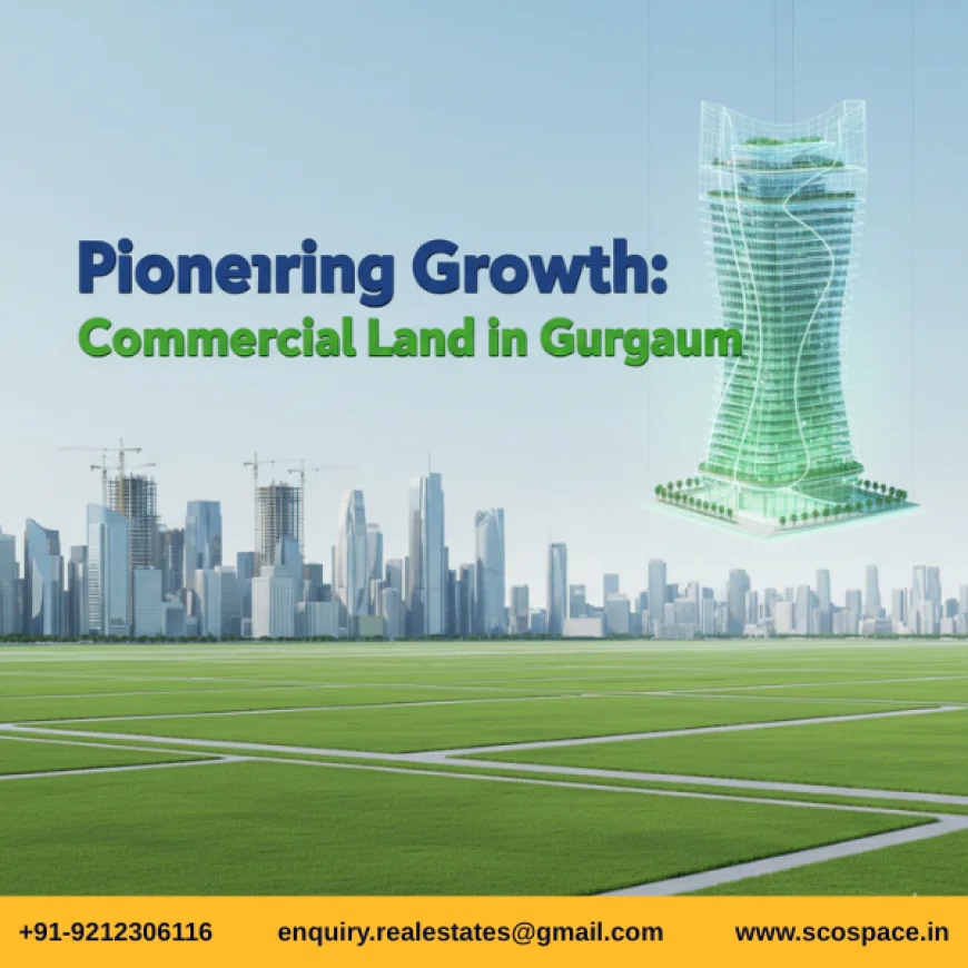 Trust Our Team for Gurgaon Commercial Investments