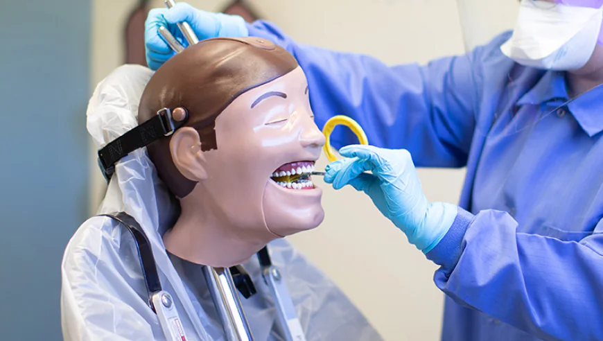 Kickstart Your Dental Career with Bay Area Dental Assisting Institute