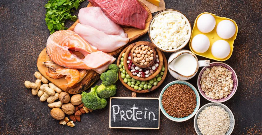 United States Protein Market Size, Share & Growth 2025-2034