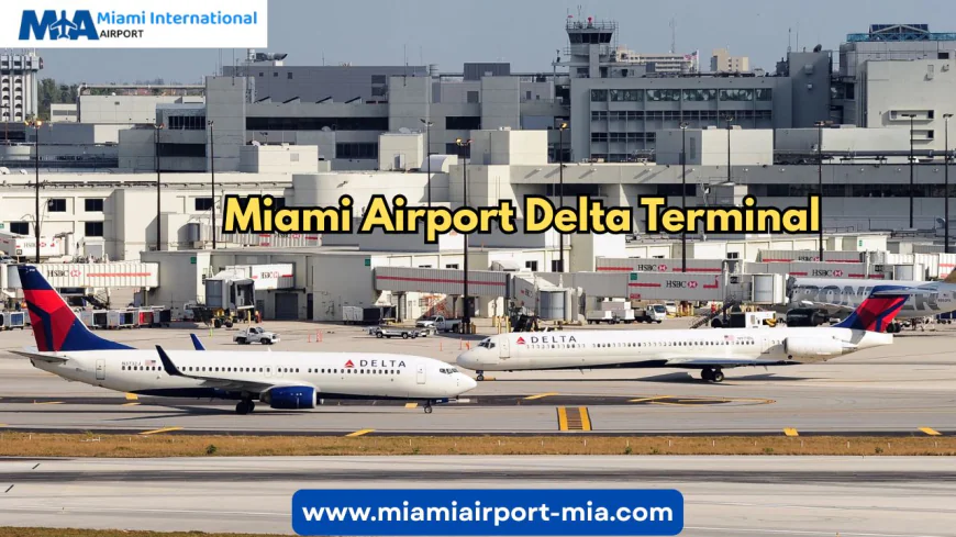Why the Miami Airport Delta Terminal Is a Traveler’s Favorite