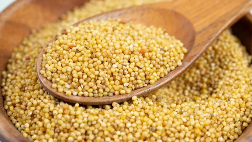 How to Cook Foxtail Millet for Weight Loss and Healthy Lifestyle at Home Easily