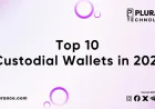 Top 10 Custodial Wallets in 2025
