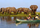 Zambia vs. Botswana: Which Safari Destination Is Right for You?