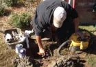 Save Water and Money with Professional American Sprinkler Repair Experts