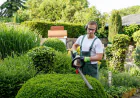 The Best Lawn Care Companies in Vancouver