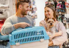 Black Friday Shopping Guide: Must-Have Essentials for Dogs and Cats