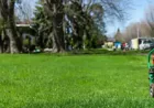 Signs Your Lawn Needs Professional Fertilization Services
