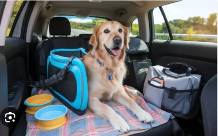Your Complete Guide to Pet Travel to Dubai