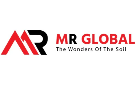 MR Global