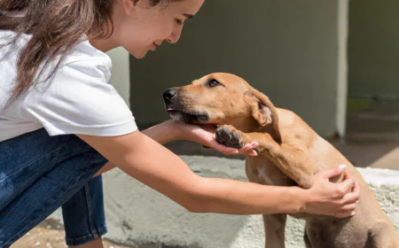 Gentle In-Home Pet Euthanasia MN – Comfort, Privacy, and Compassion