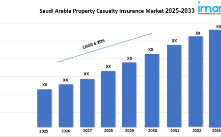 Saudi Arabia Property & Casualty Insurance Market Size, Share & Growth Report 2025–2033