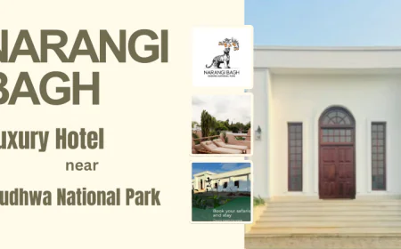 Top Reasons to Choose Narangi Bagh – A Luxury Hotel near Dudhwa National Park