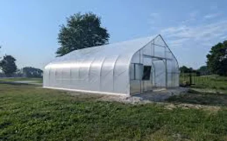 What Makes 6 Mil Thickness a Reliable Choice for Greenhouse Plastic?