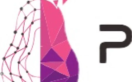 Top WordPress Web Design Company in Atlanta