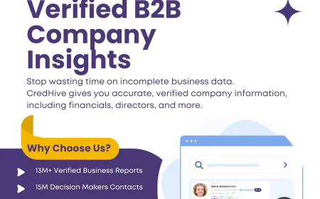 Best Ways to Find Indian Business Information Online