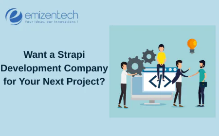 Want a Strapi Development Company for Your Next Project?