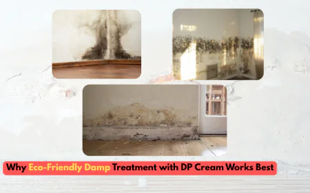 Why Eco-Friendly Damp Treatment with DP Cream Works Best