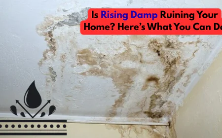 Is Rising Damp Ruining Your Home? Here’s What You Can Do