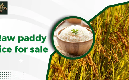 Raw Paddy Rice for Sale: What Exporters and Wholesalers Should Know