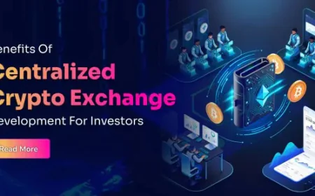 The Benefits of Centralized Crypto Exchange Development for Investors‍